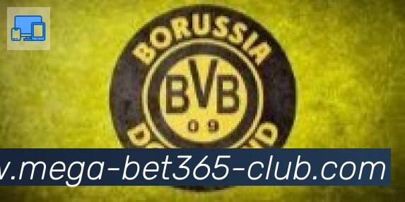 bet365在线体育合作伙伴
