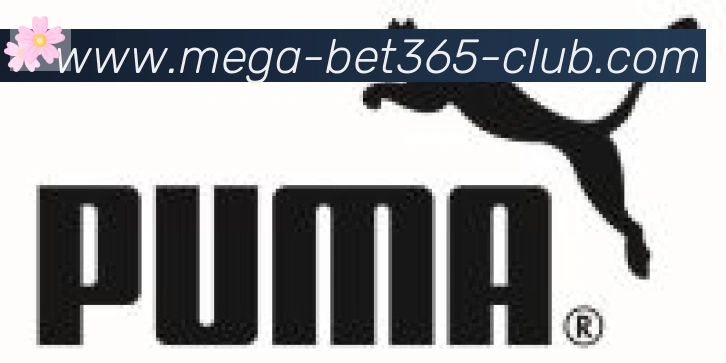 bet365在线体育合作伙伴
