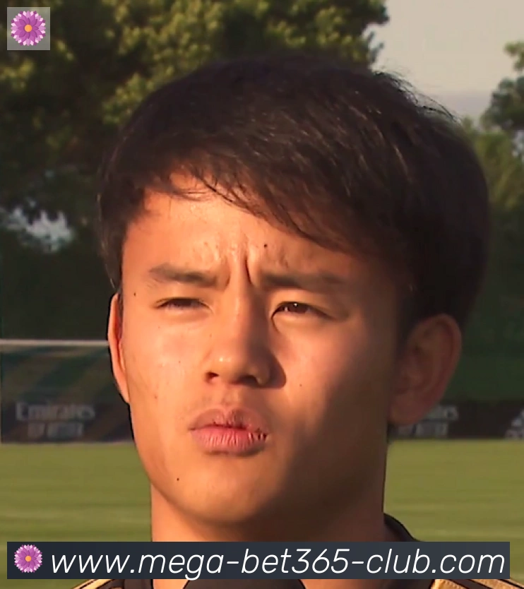 维尼修斯